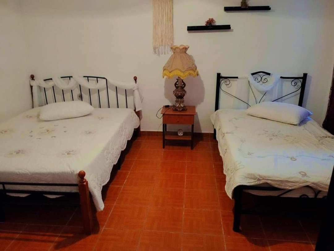 Villa Konstantina Nea Skioni Luaran gambar